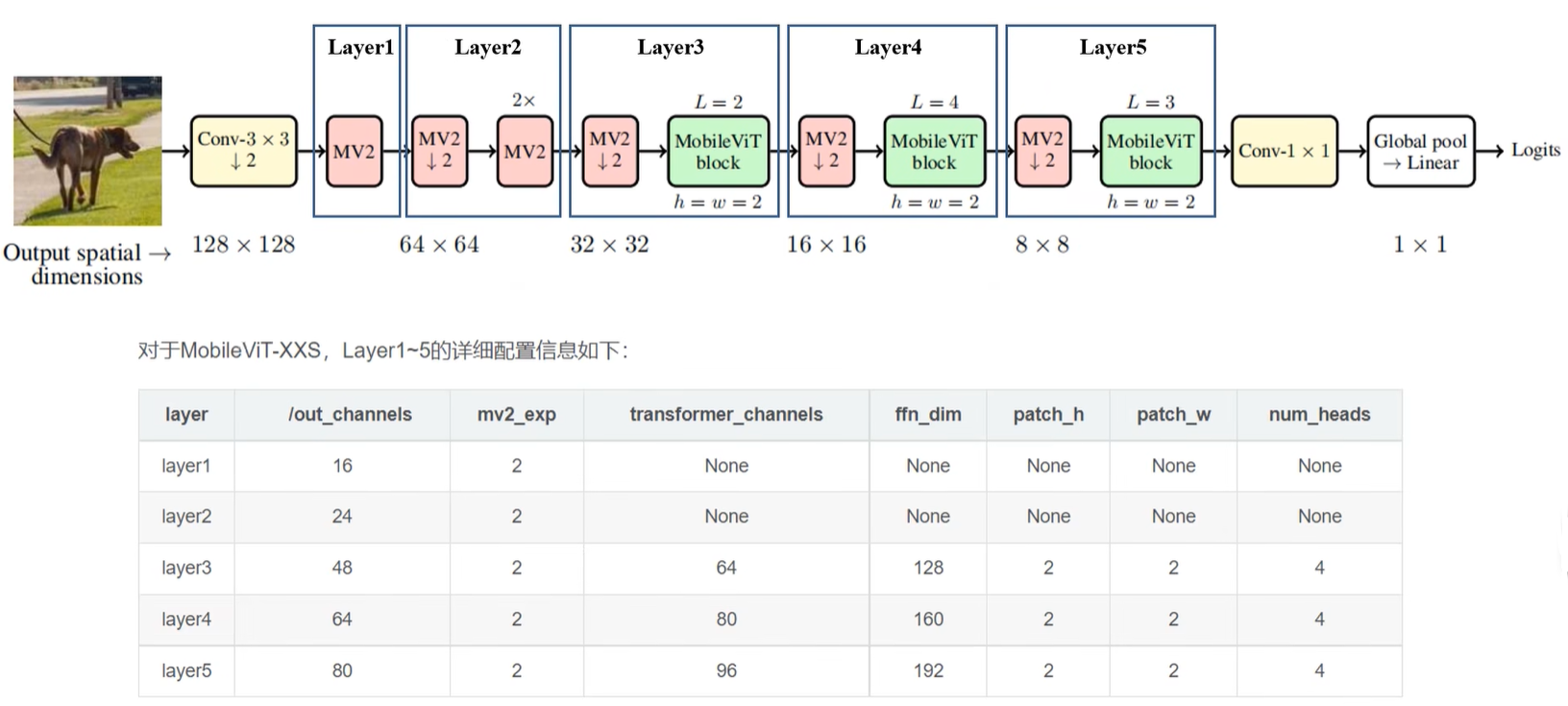 深度学习模型之cnn（二十六）mobilevit网络讲解及通过pytorch搭建 Linvils Blog