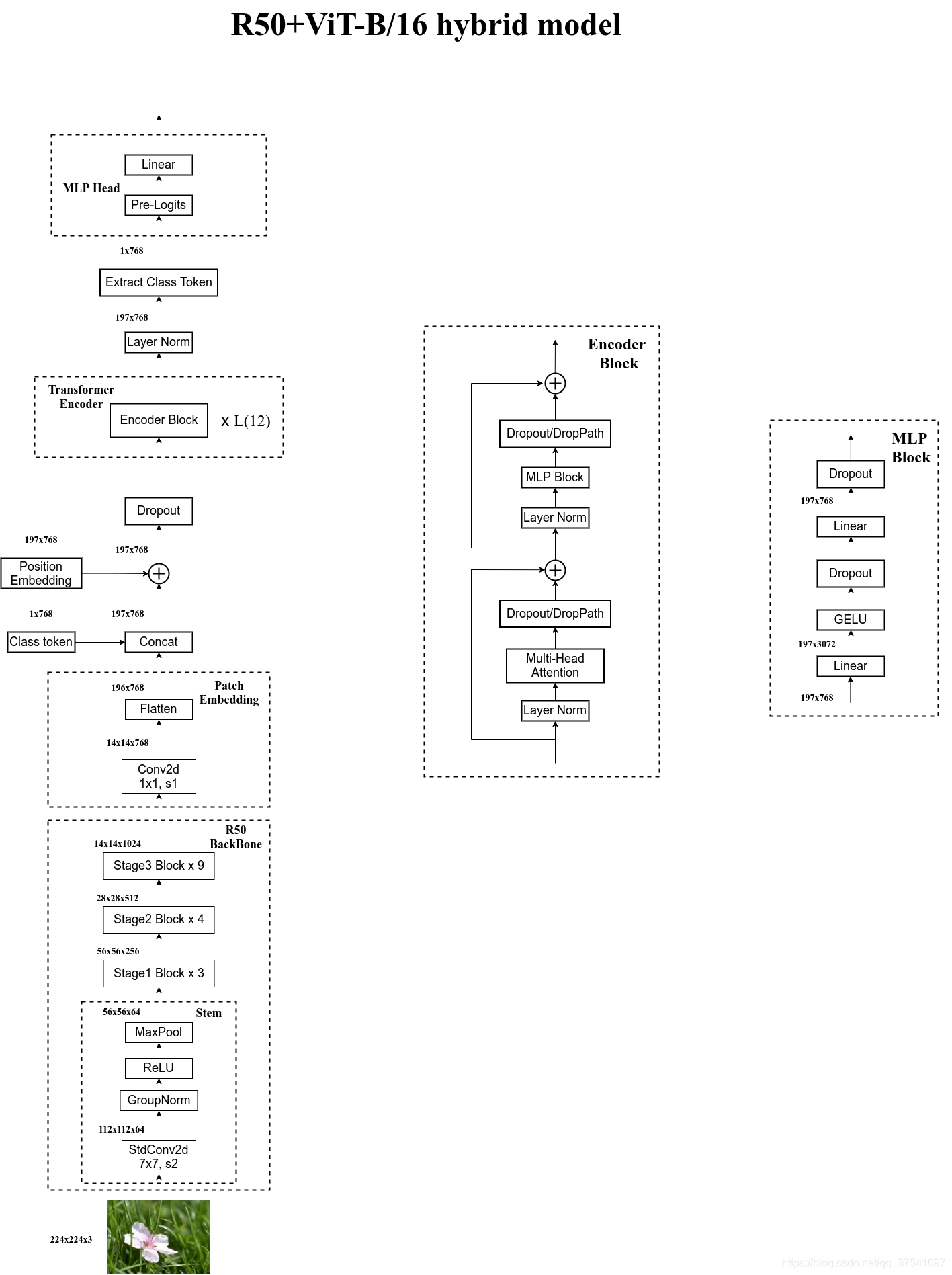 ResNet-50+ViT-B/16 hybrid model