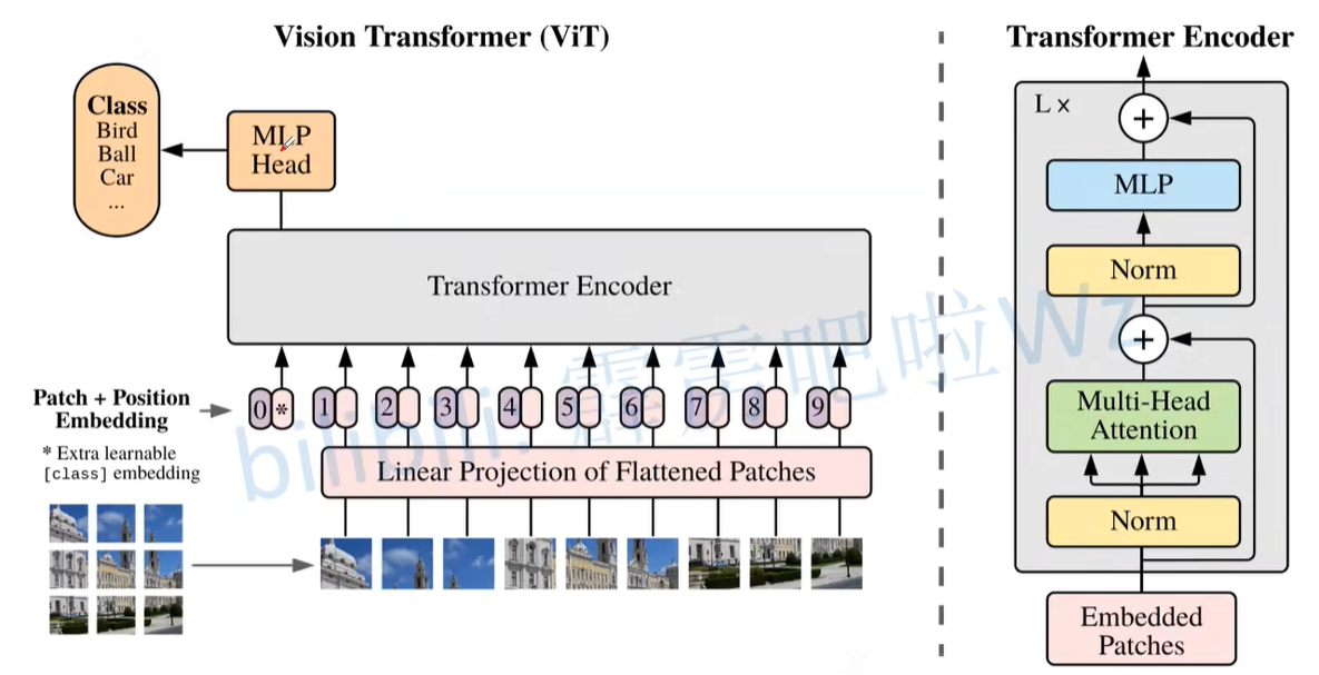 Vision Transformer模型架构