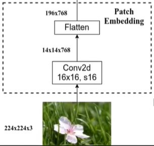 Patch-Embedding层