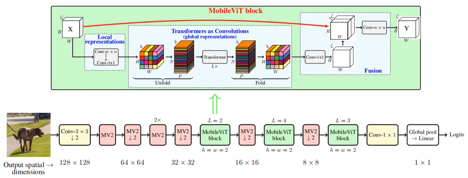 MobileViT visual transformer