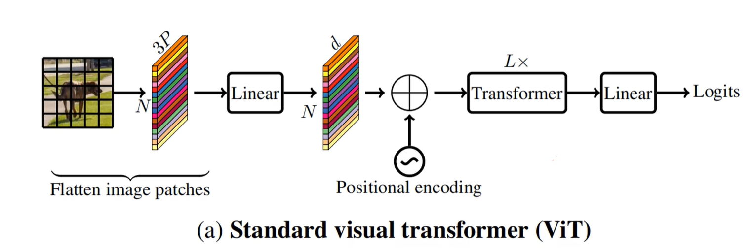 Standard visual transformer(ViT)