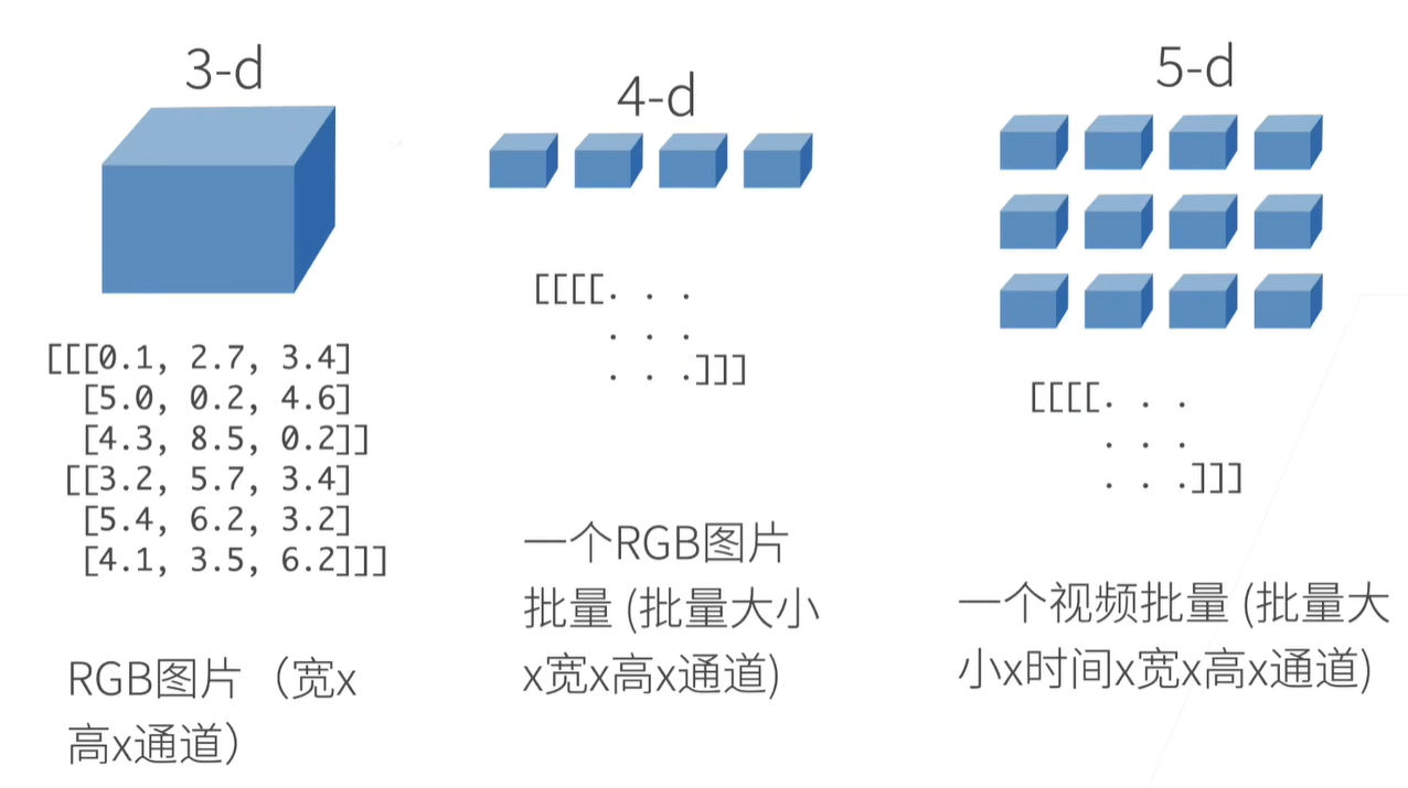 数组-2