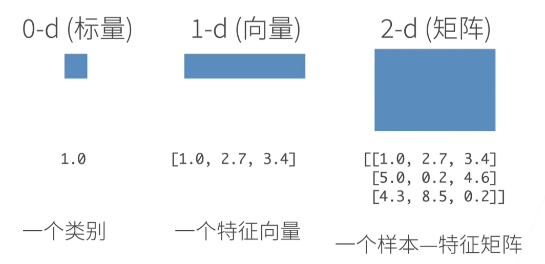 数组